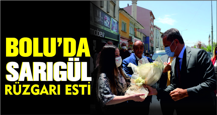 BOLU'DA SARIGÜL RÜZGARI ESTİ
