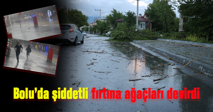 Bolu’da şiddetli fırtına ağaçları devirdi