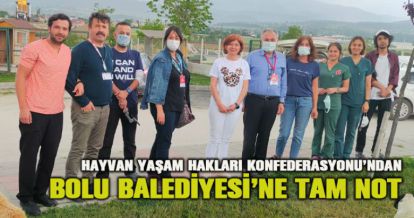 Hayvanların Yaşam Hakları Konfederasyonu'ndan Bolu Belediyesi'ne tam not