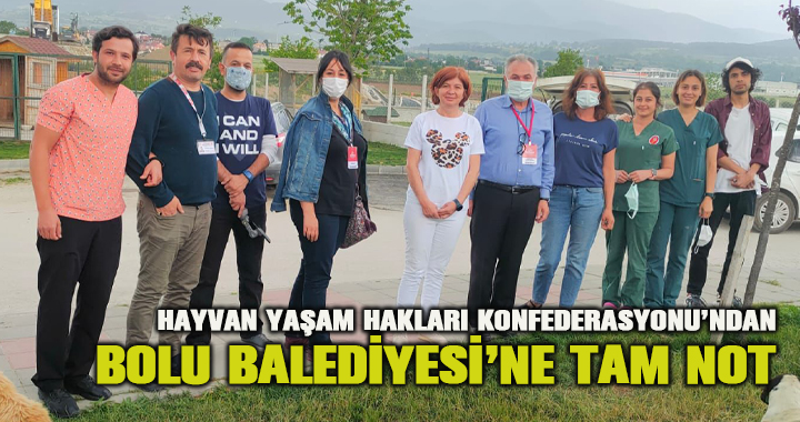 Hayvanların Yaşam Hakları Konfederasyonu’ndan Bolu Belediyesi’ne tam not
