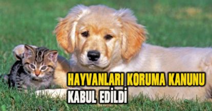 HAYVANLARI KORUMA KANUNU KABUL EDİLDİ