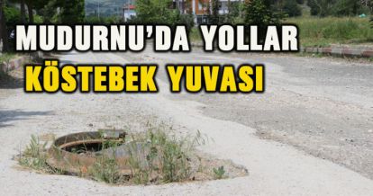 MUDURNU'DA YOLLAR KÖSTEBEK YUVASI