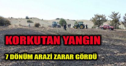 7 DÖNÜM ARAZİ ZARAR GÖRDÜ