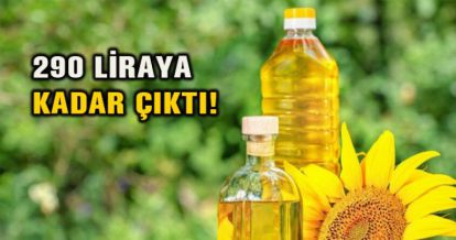 290 LİRAYA KADAR ÇIKTI!