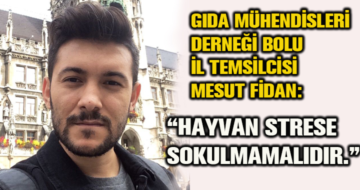 MESUT FİDAN: HAYVAN STRESE SOKULMAMALIDIR