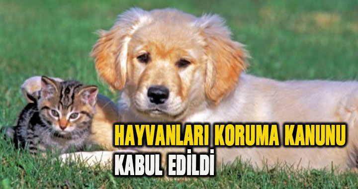 HAYVANLARI KORUMA KANUNU KABUL EDİLDİ