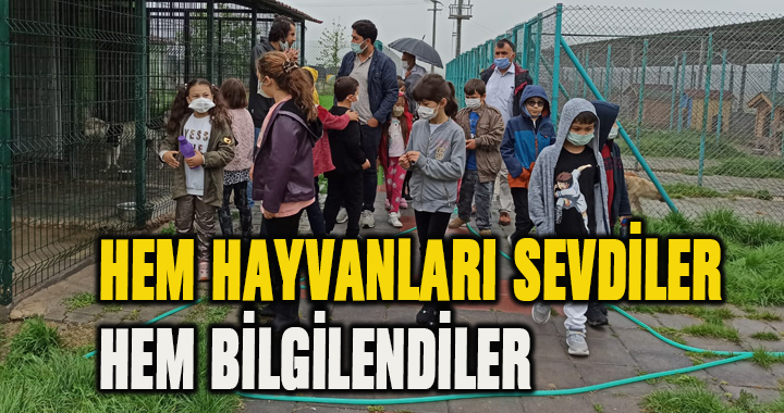 HEM HAYVANLARI SEVDİLER HEM BİLGİLENDİLER