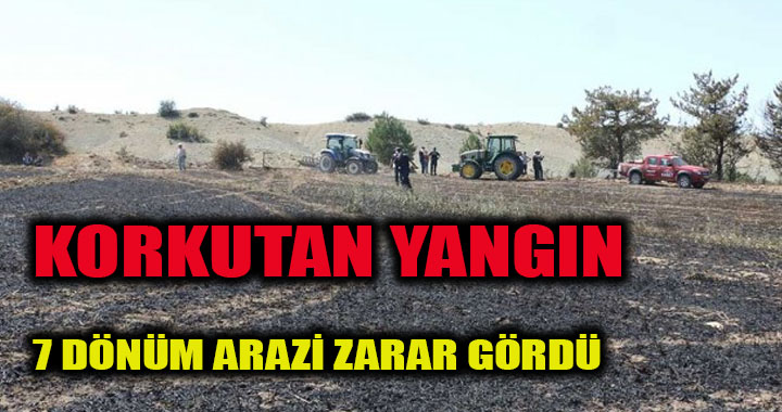 7 DÖNÜM ARAZİ ZARAR GÖRDÜ