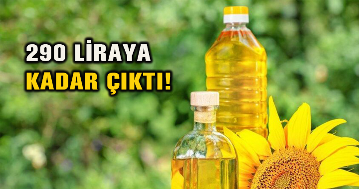 290 LİRAYA KADAR ÇIKTI!