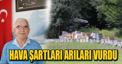 HAVA ŞARTLARI ARILARI VURDU