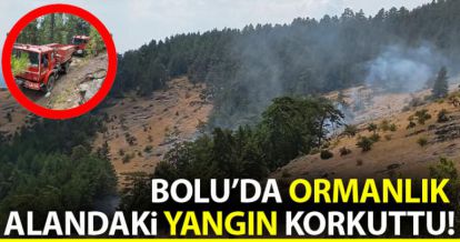 BOLU'DA ORMANLIK ALANDAKİ YANGIN KORKUTTU!