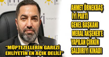 ÖRNERKAŞ: MÜPTEZELLERİN GAREZİ EHLİYETİN EN AÇIK DELİLİ