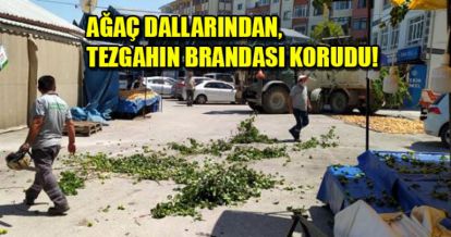 TEZGAHIN BRANDASI KORUDU!