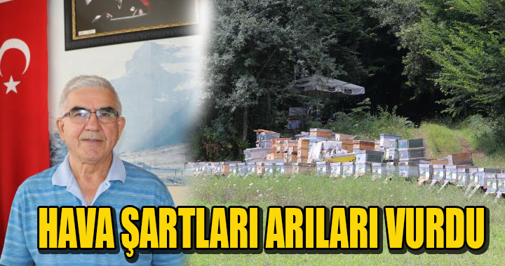 HAVA ŞARTLARI ARILARI VURDU