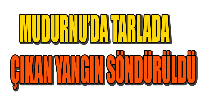 MUDURNU’DA TARLADA ÇIKAN YANGIN SÖNDÜRÜLDÜ