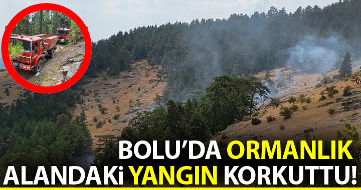 BOLU'DA ORMANLIK ALANDAKİ YANGIN KORKUTTU!