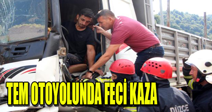 TEM OTOYOLUNDA FECİ KAZA