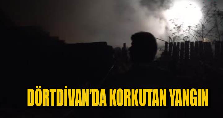 DÖRTDİVAN’DA KORKUTAN YANGIN