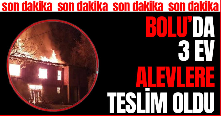 BOLU'DA 3 EV ALEVLERE TESLİM OLDU!
