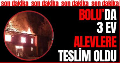 BOLU'DA 3 EV ALEVLERE TESLİM OLDU!