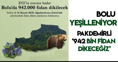 BOLU YEŞİLLENİYOR