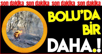 BOLU'DA BİR YANGIN DAHA!