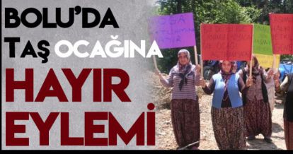 BOLU'DA KÖYLÜLER AĞAÇ KESİMİNE DUR DEDİ!
