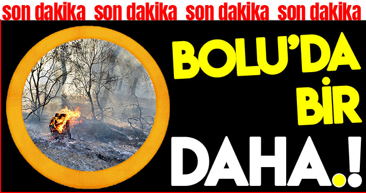 BOLU'DA BİR YANGIN DAHA!
