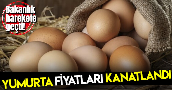 YUMURTA FİYATLARI KANATLANDI!