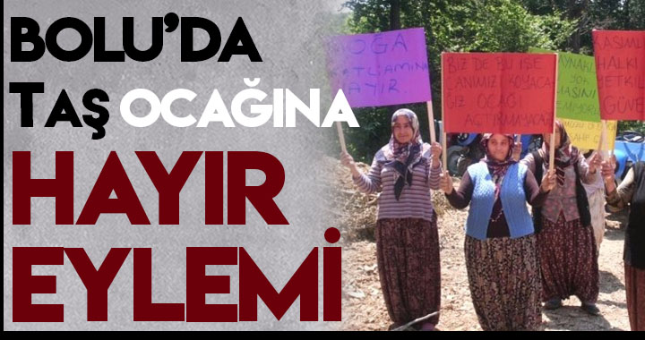 BOLU’DA KÖYLÜLER AĞAÇ KESİMİNE DUR DEDİ!