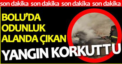 BOLU'DA ODUNLUK ALANDA ÇIKAN YANGIN KORKUTTU!