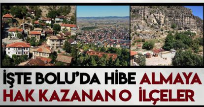 İŞTE BOLU'DA HİBE KAZANMAYA HAK KAZANAN O İLÇELER