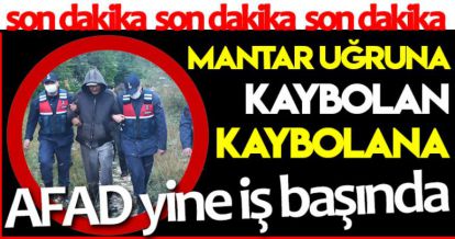 MANTAR UĞRUNA KAYBOLAN KAYBOLANA