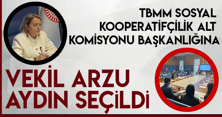 TBMM SOSYAL KOOPERATİFÇİLİK ALT KOMİSYONU BAŞKANLIĞINA VEKİL ARZU AYDIN SEÇİLDİ