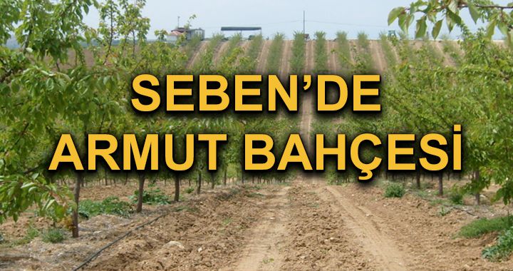 Seben’de Kapama Kızık Armut Bahçesi kuruldu