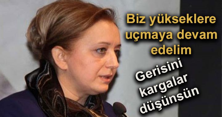 Muhalefeti, kartalı gagalayan kargaya benzetti