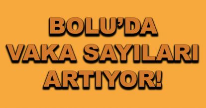 Bolu'da vaka sayıları artıyor!