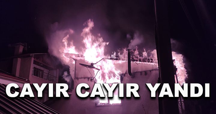 Mudurnu’da yangın!