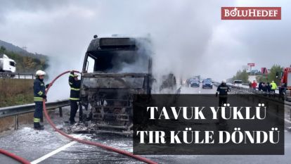 TAVUK YÜKLÜ TIR KÜLE DÖNDÜ