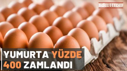 YUMURTA YÜZDE 400 ZAMLANDI