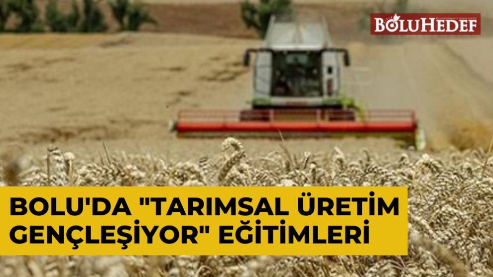 BOLU'DA 