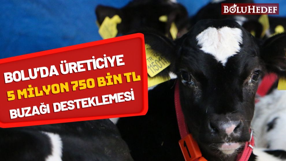 BOLU’DA ÜRETİCİYE 5 MİLYON 750 BİN TL BUZAĞI DESTEKLEMESİ