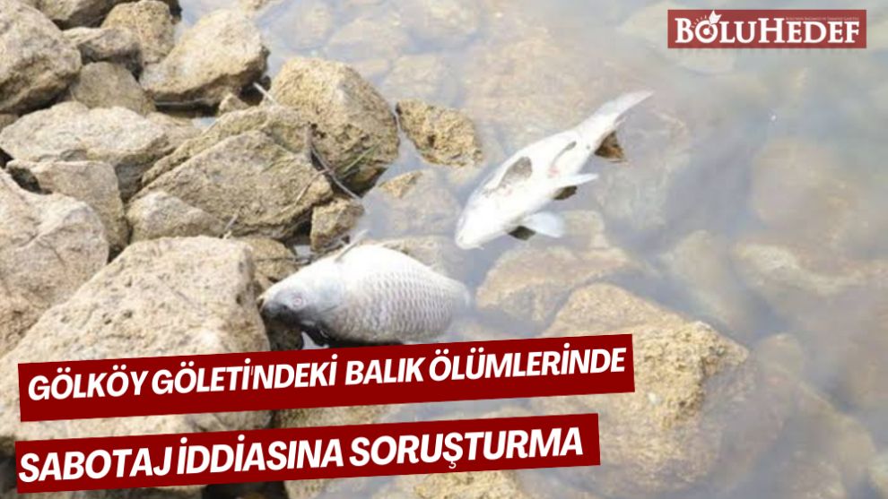 GÖLKÖY  GÖLETİ'NDEKİ BALIK ÖLÜMLERİNDE SABOTAJ İDDİASINA SORUŞTURMA