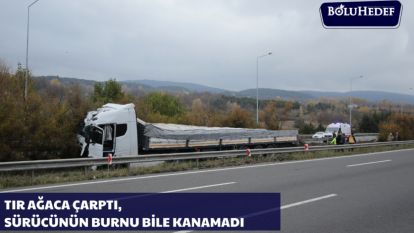 BOLU'DA AĞACA ÇARPAN TIRIN SÜRÜCÜSÜ KAZAYI YARA ALMADAN ATLATTI