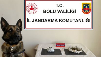 UYUŞTURUCU TAŞIYAN YOLCULARI DEDEKTÖR KÖPEK YAKALADI 