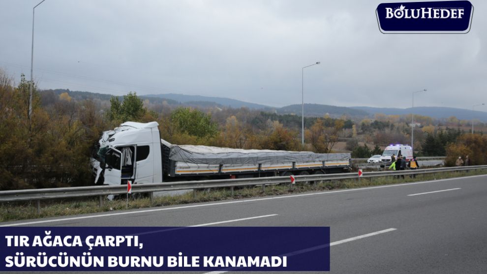 BOLU'DA AĞACA ÇARPAN TIRIN SÜRÜCÜSÜ KAZAYI YARA ALMADAN ATLATTI