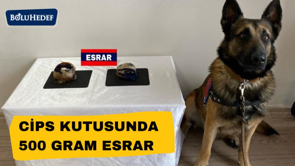 CİPS KUTUSUNDA 500 GR ESRAR YAKALANDI