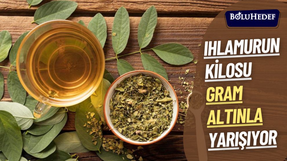 IHLAMURUN KİLOSU GRAM ALTINLA YARIŞIYOR