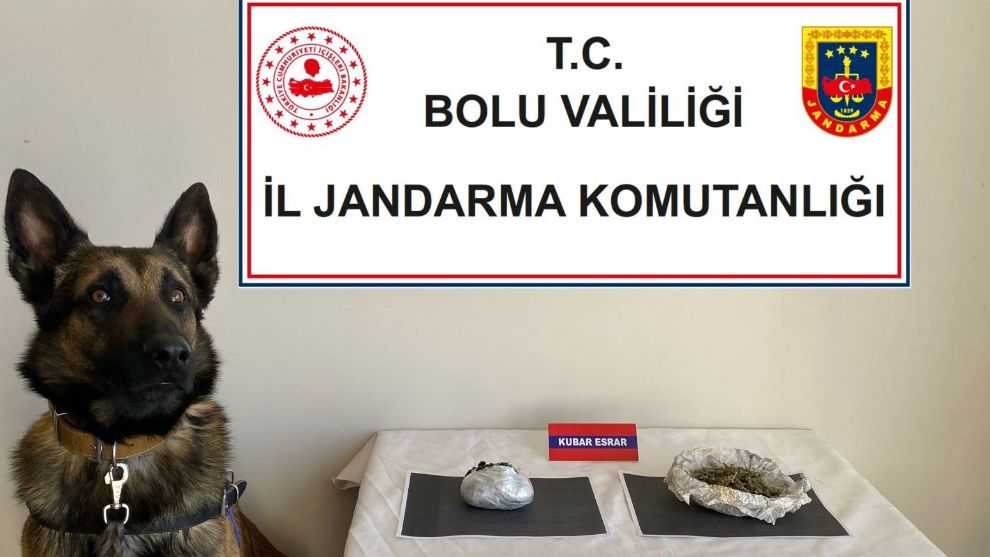 UYUŞTURUCU TAŞIYAN YOLCULARI DEDEKTÖR KÖPEK YAKALADI