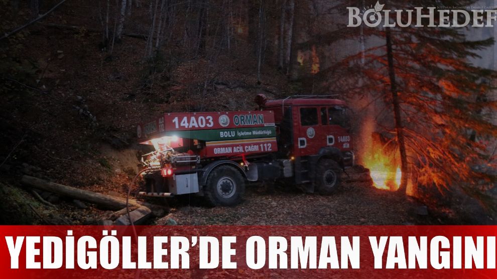 YEDİGÖLLER'DE ORMAN YANGINI